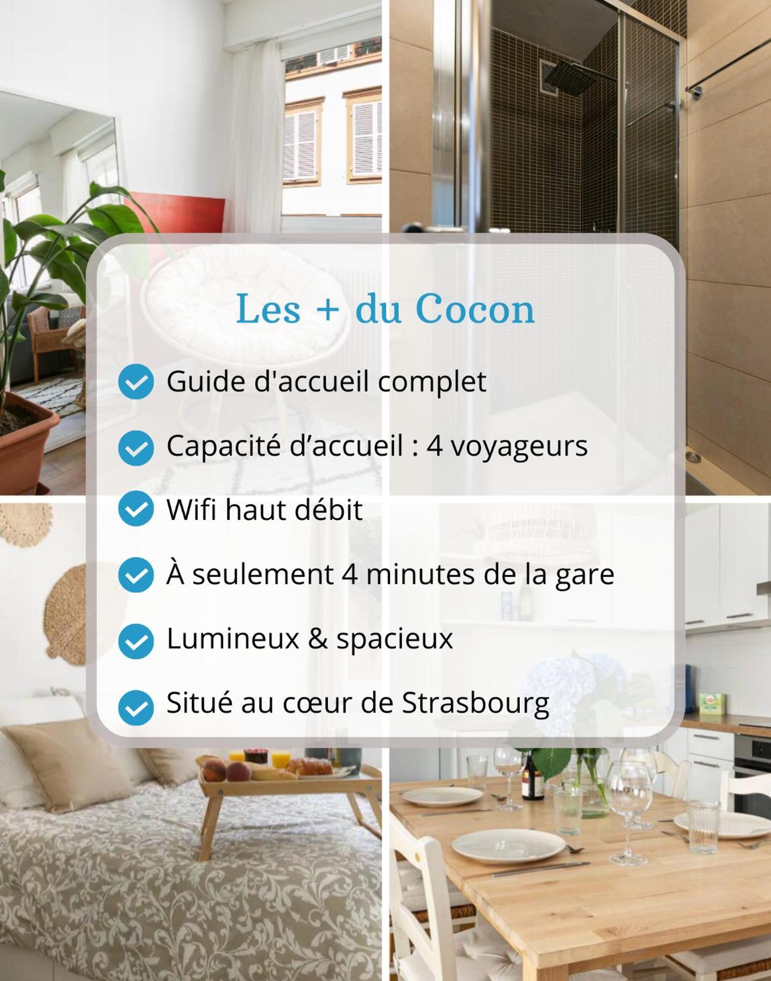 Le Cocon - Proche Gare - Lumineux & Centre Ville - Commerces A Proximite Strasbourg Extérieur photo